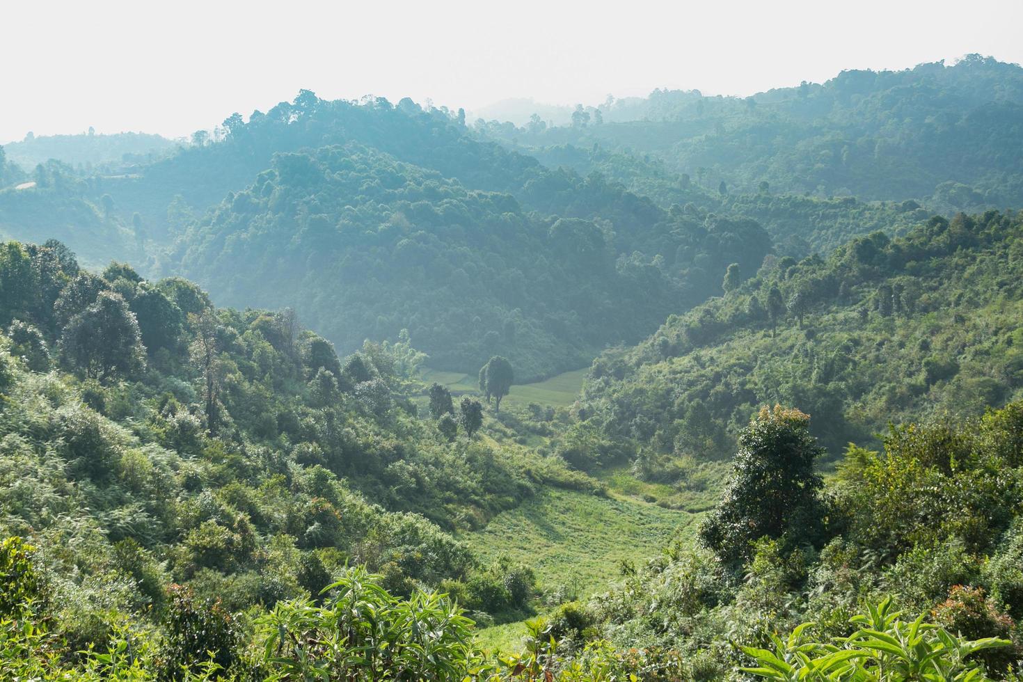 hemel, bos en bergen in Thailand foto