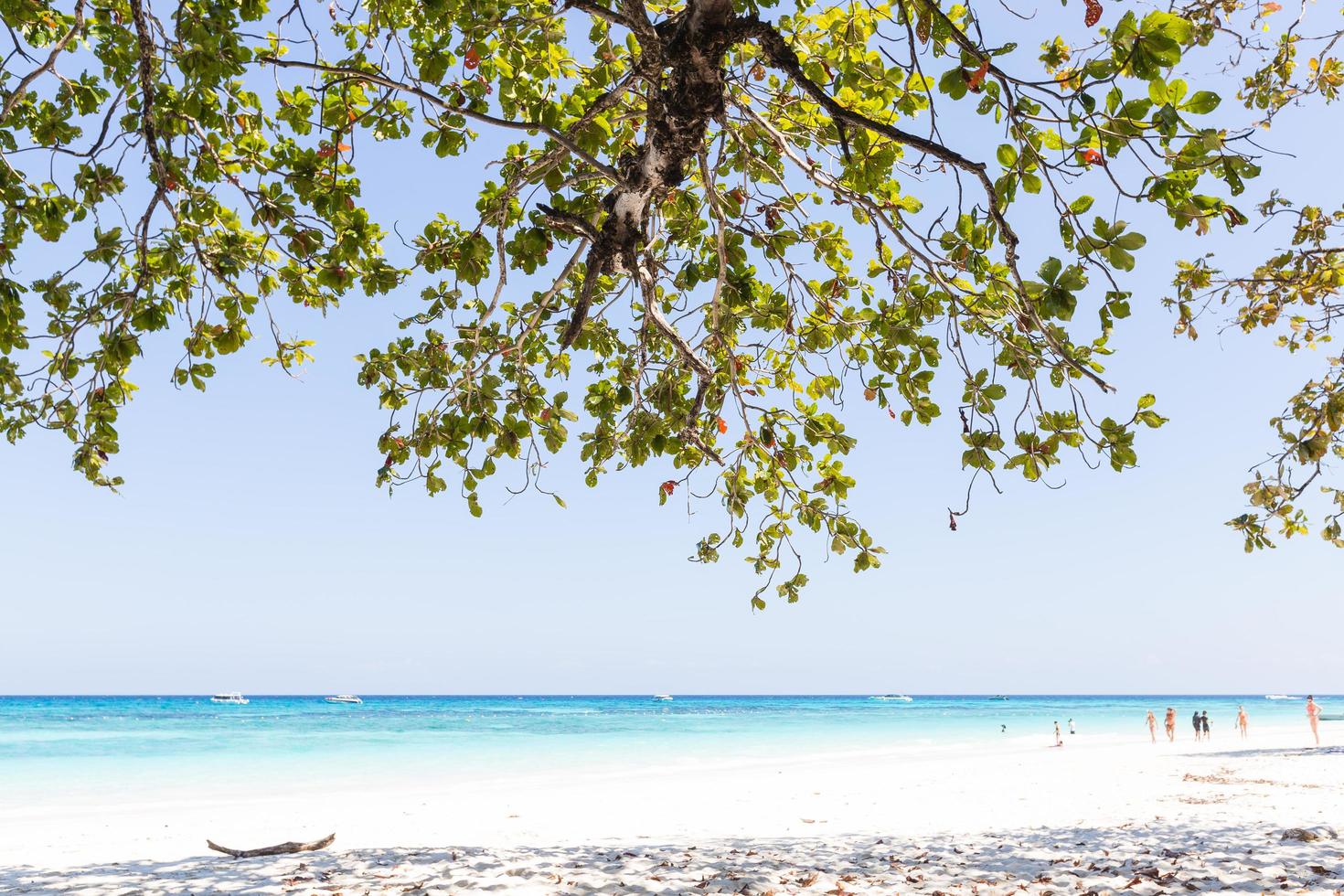 strand in Thailand foto