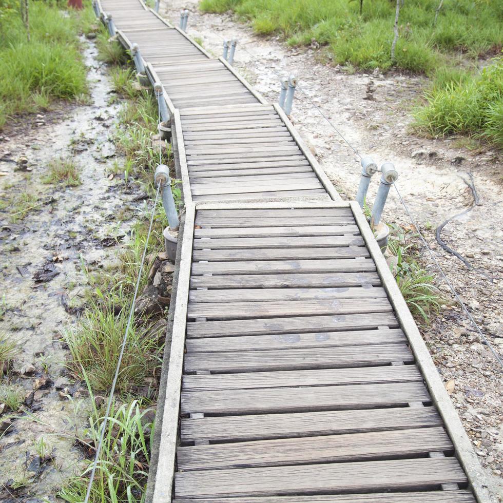 loopbrug die naar de berg leidt foto