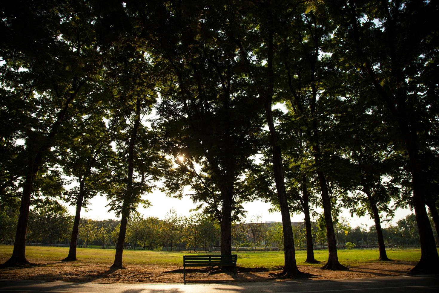 bankje in het park foto