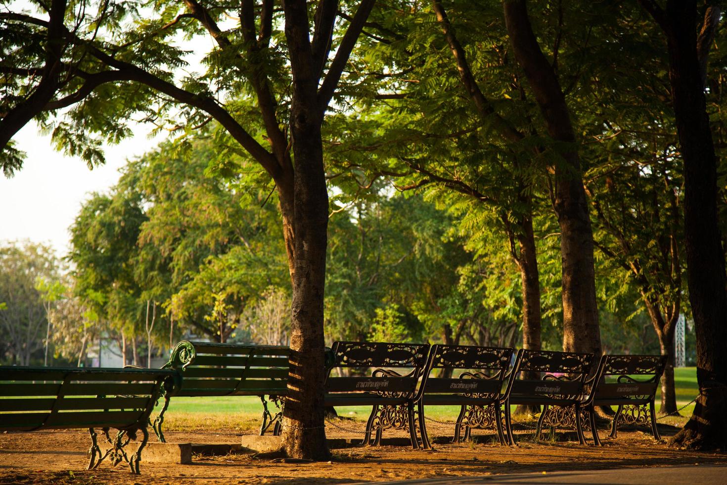 banken in het park foto