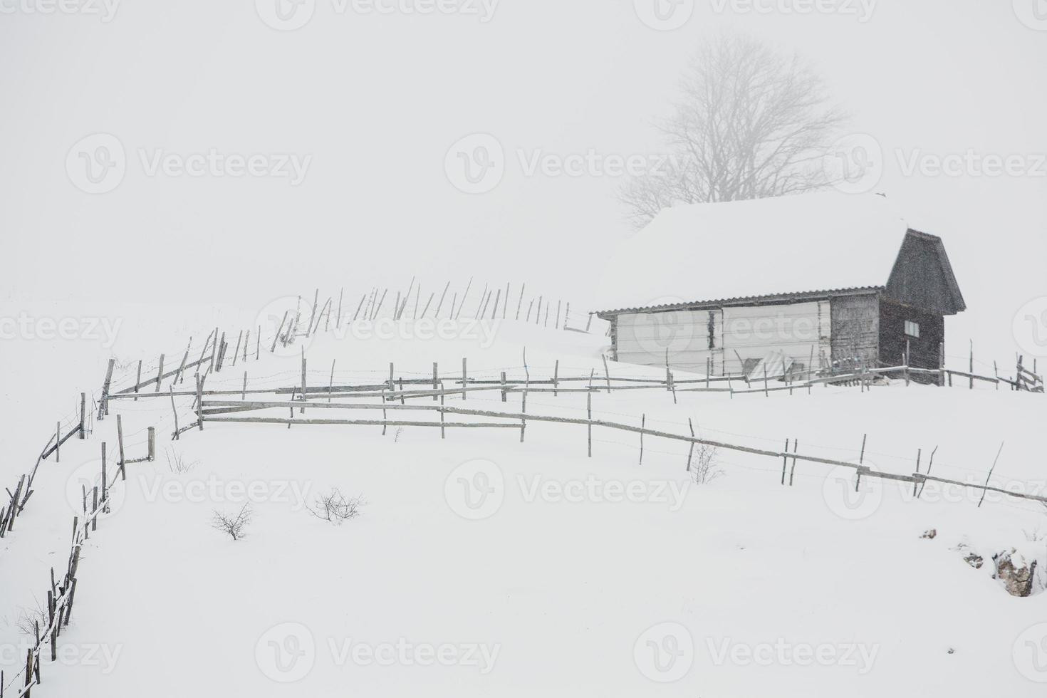 een overvloedig sneeuwval in de Roemeense Karpaten in de dorp van sirnea, brasov. echt winter met sneeuw in de land foto