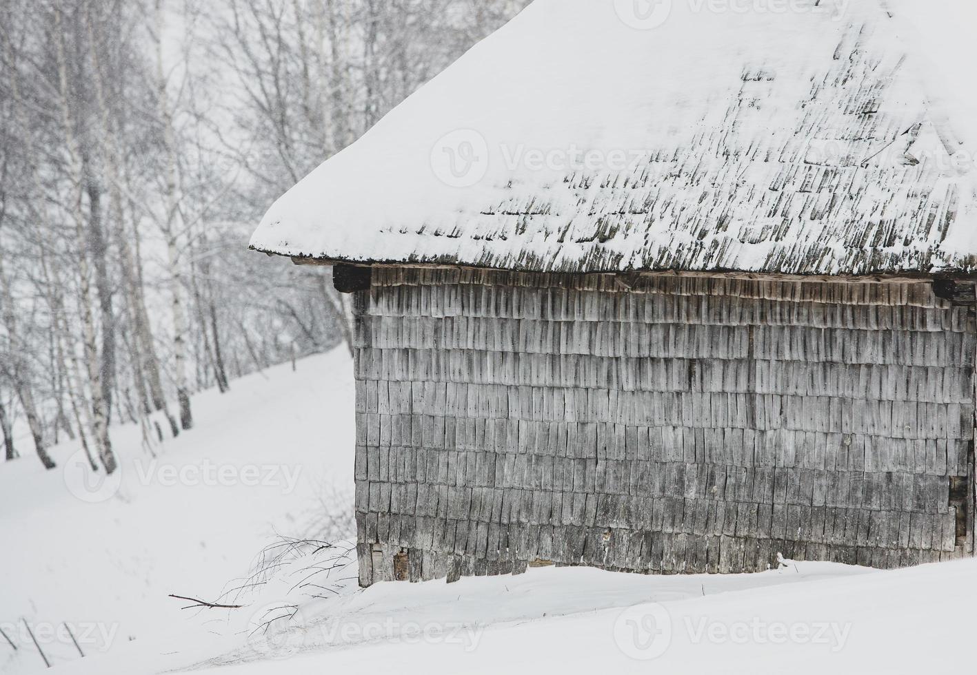 een overvloedig sneeuwval in de Roemeense Karpaten in de dorp van sirnea, brasov. echt winter met sneeuw in de land foto