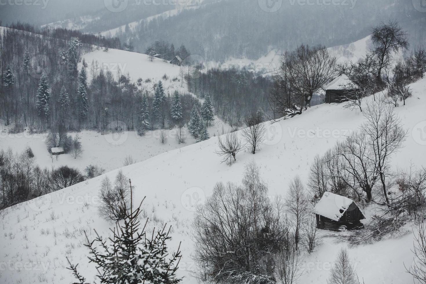 een overvloedig sneeuwval in de Roemeense Karpaten in de dorp van sirnea, brasov. echt winter met sneeuw in de land foto