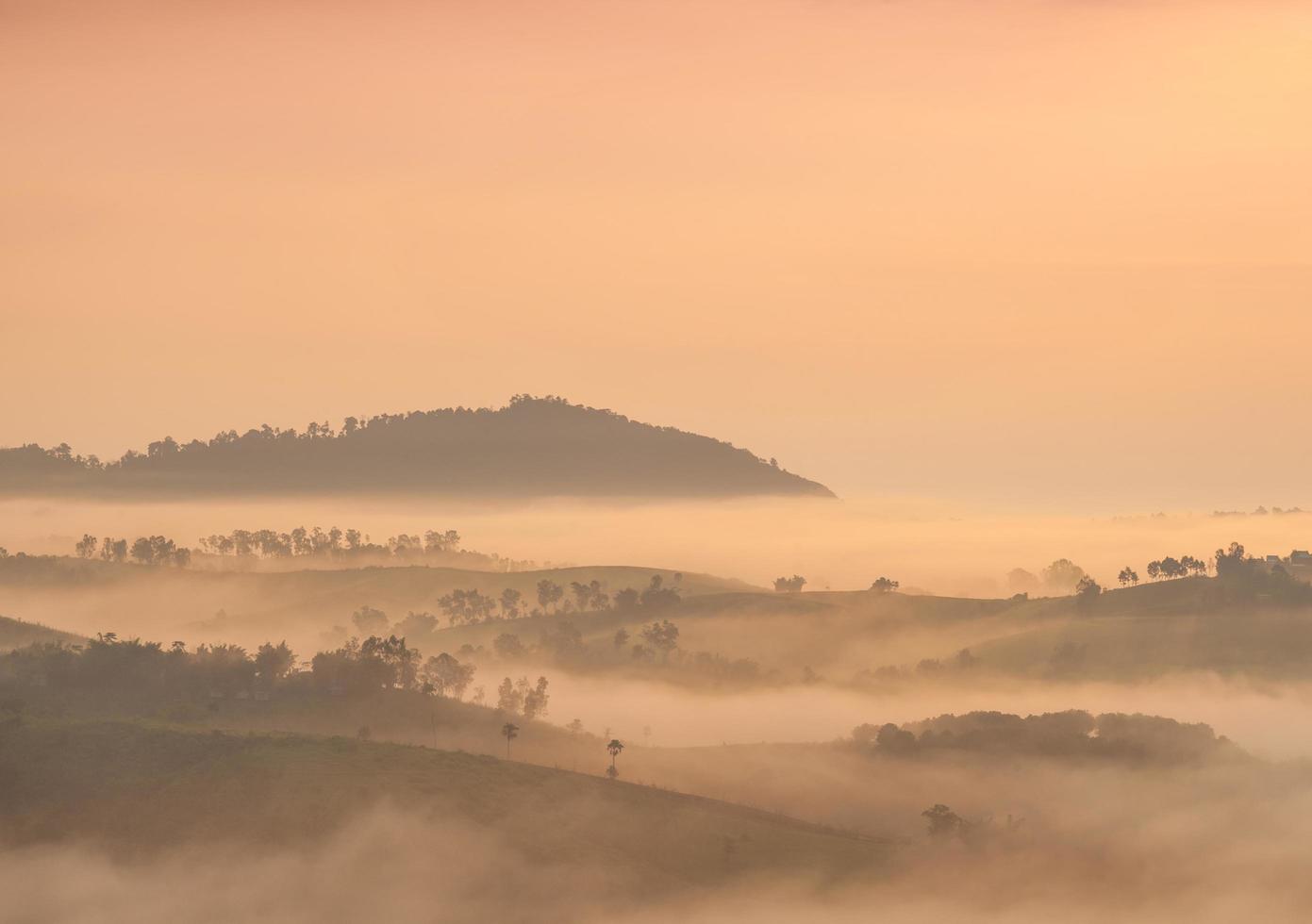 mist bedekte bergen en bos foto