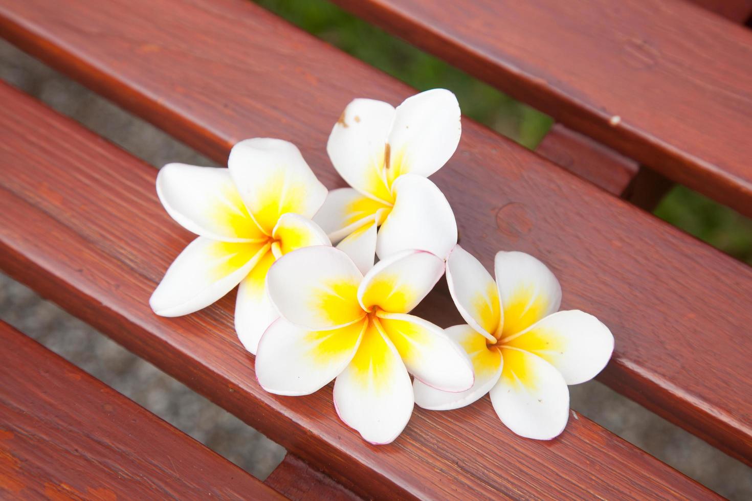 witte bloemen op een stoel foto