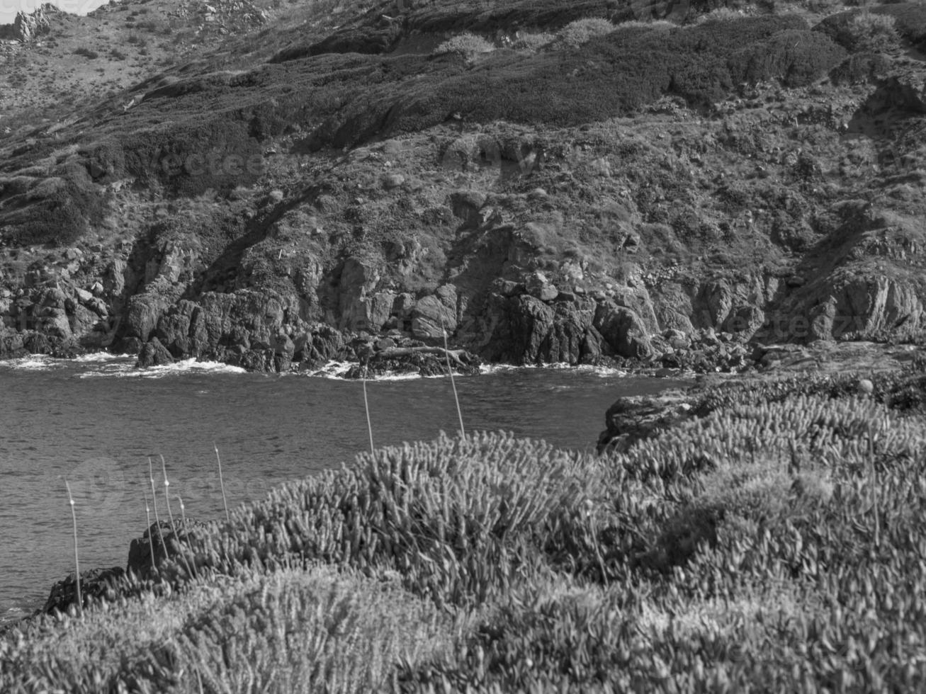 het eiland corsica foto