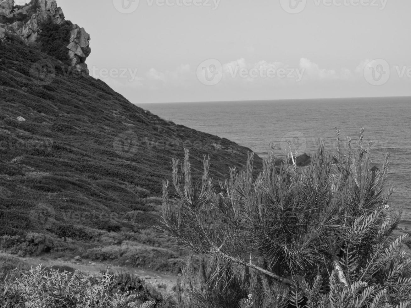 het eiland corsica foto