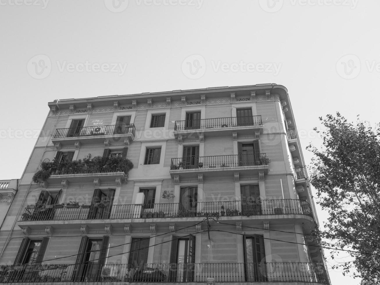 het eiland corsica foto