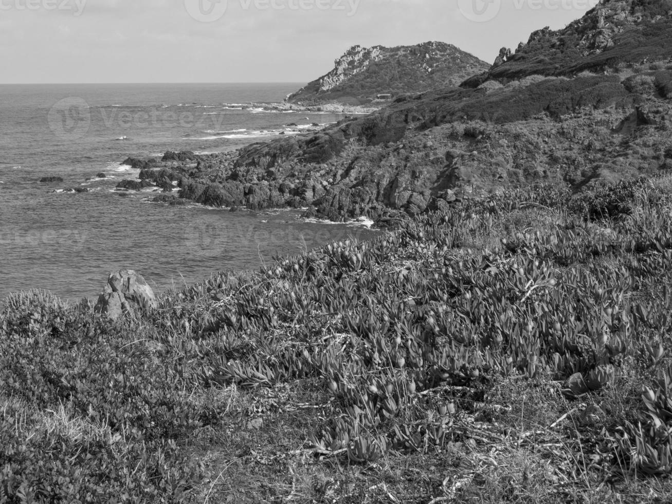 het eiland corsica foto