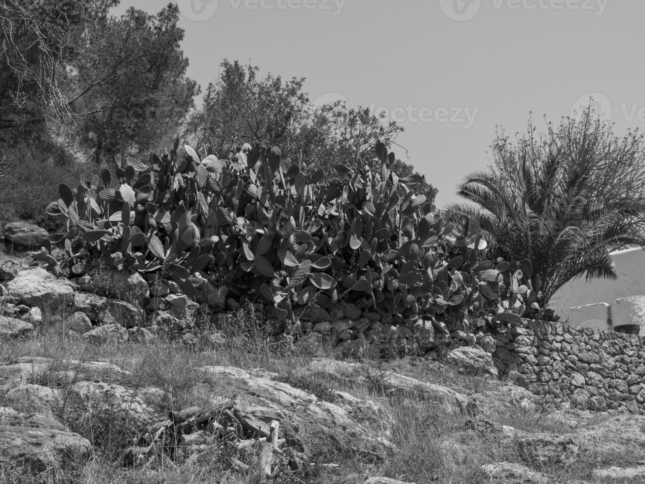 ibiza eiland in spanje foto