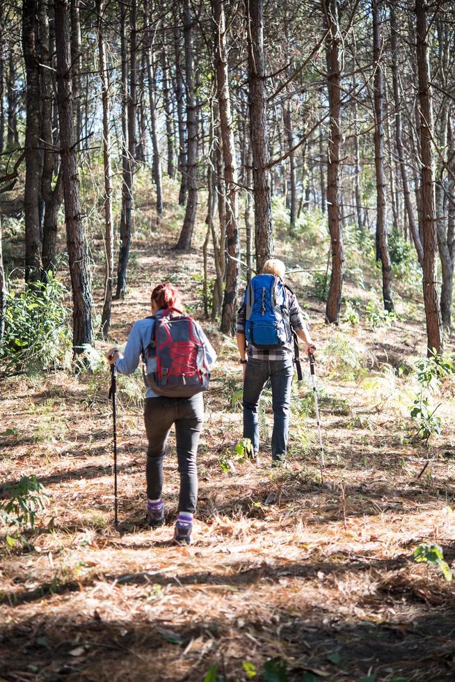 portret van wandelende paar backpacken in een dennenbos foto