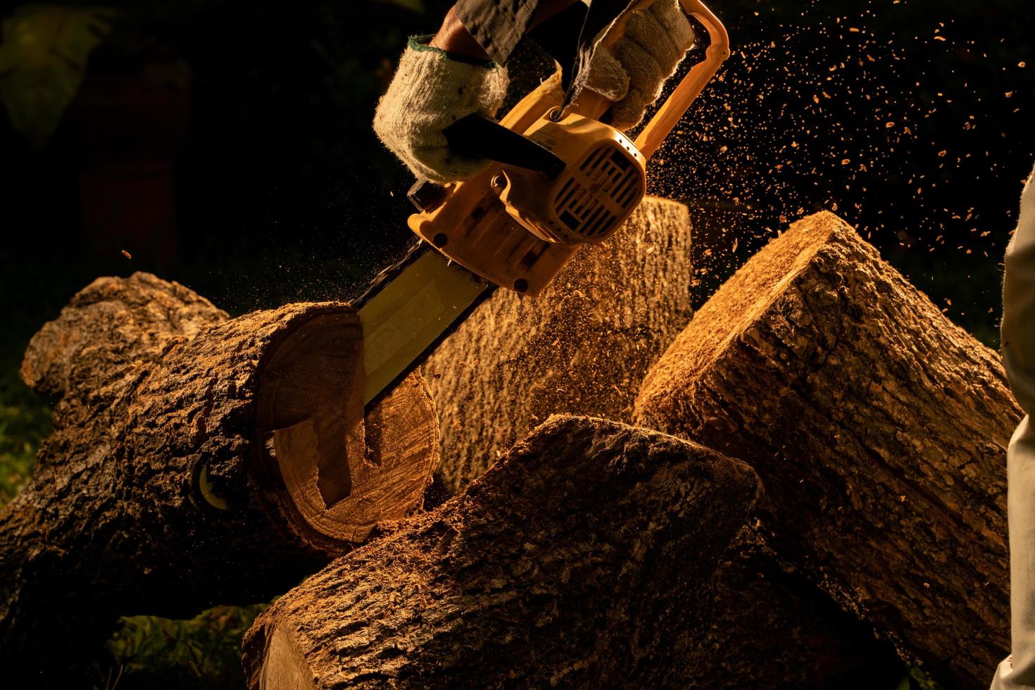 elektrisch kettingzagen besnoeiing bomen in de Woud voor gebouw een huis en maken brandhout de concept van ontbossing foto