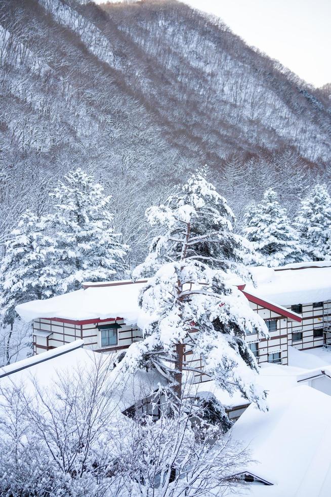 verticaal beeld van zwaar sneeuw Bij hoi Nee sato dorp in tochigi prefectuur, nikko stad, Japan foto