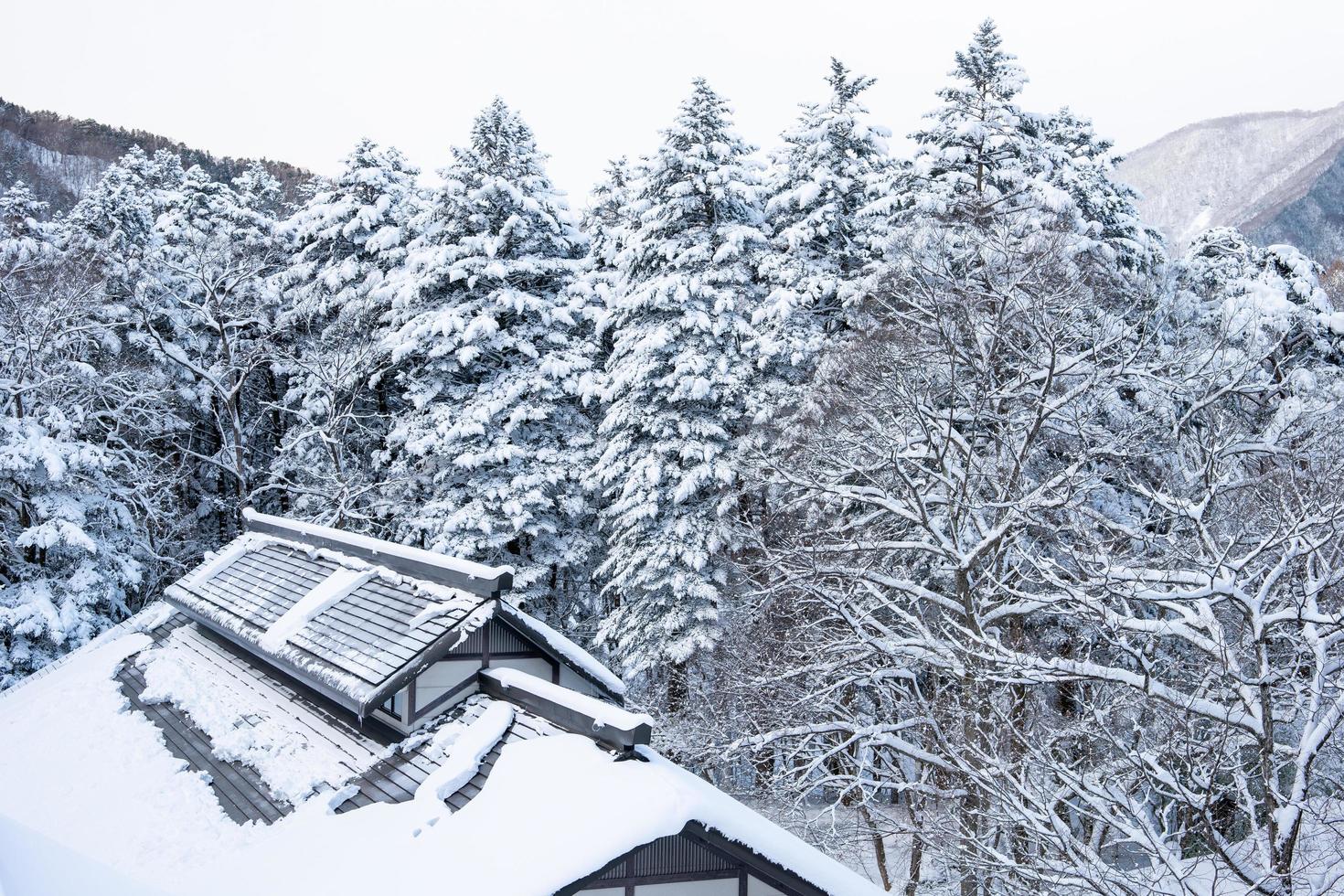 zwaar sneeuw Bij hoi Nee sato dorp in tochigi prefectuur, nikko stad, Japan foto