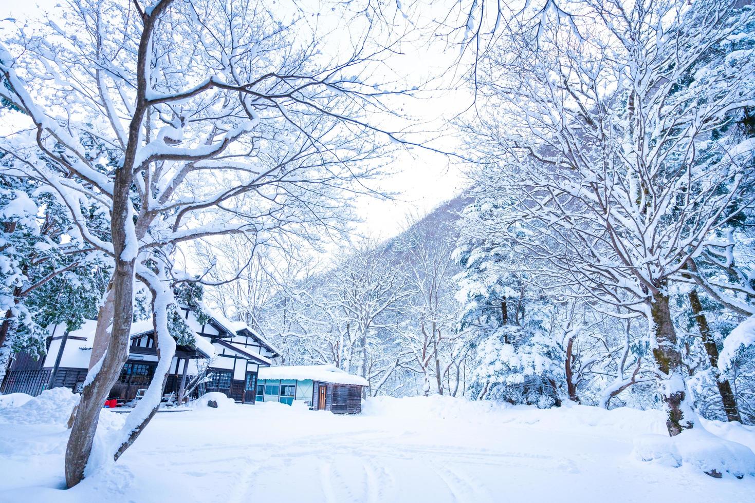 zwaar sneeuw Bij hoi Nee sato dorp in tochigi prefectuur, nikko stad, Japan foto