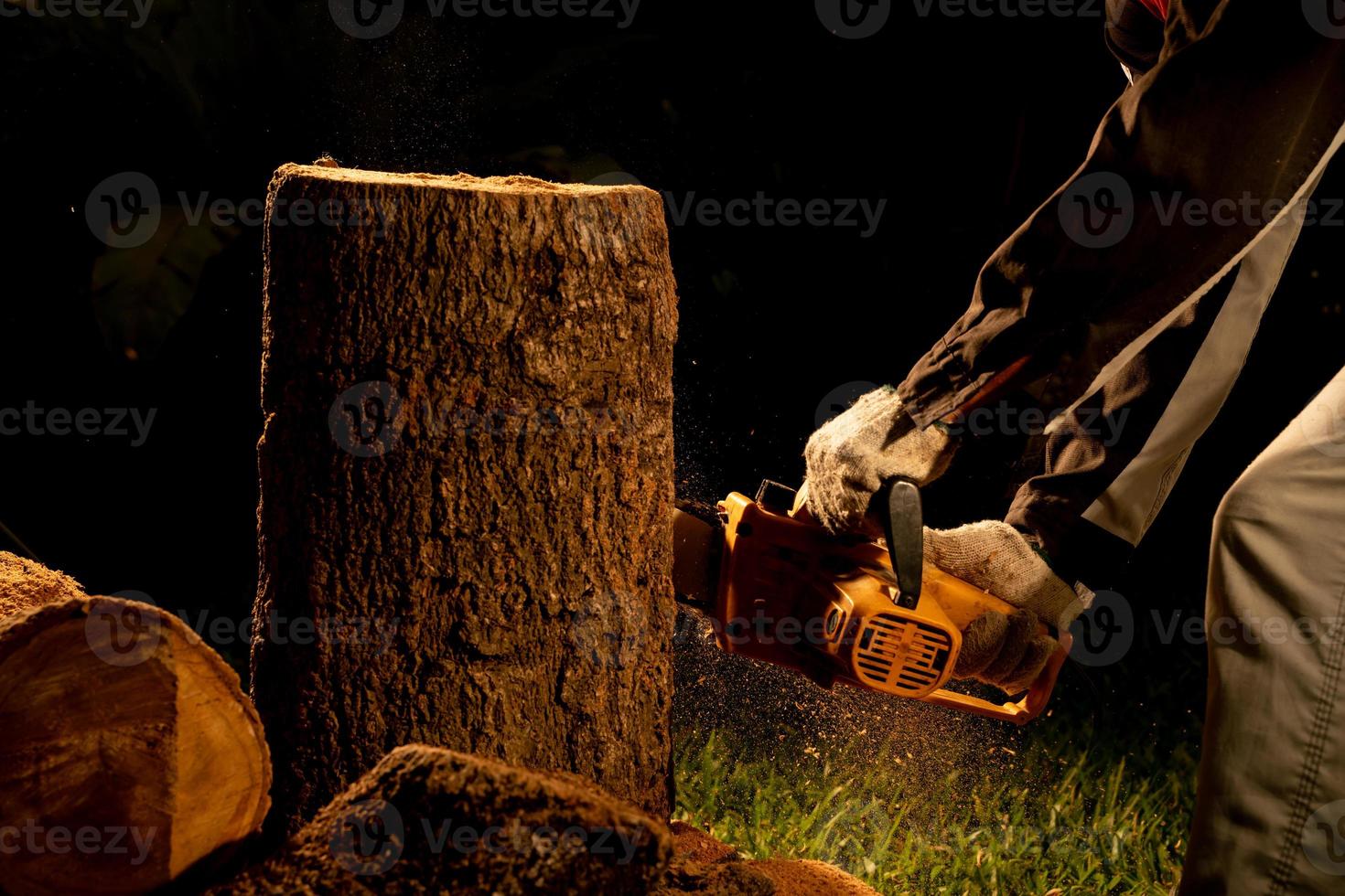 elektrisch kettingzagen besnoeiing bomen in de Woud voor gebouw een huis en maken brandhout de concept van ontbossing foto