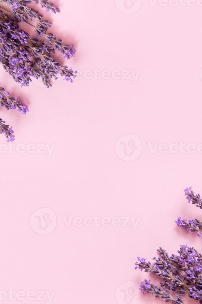 lavendel bloemen Aan roze achtergrond top visie. kopiëren ruimte. verticaal formaat foto