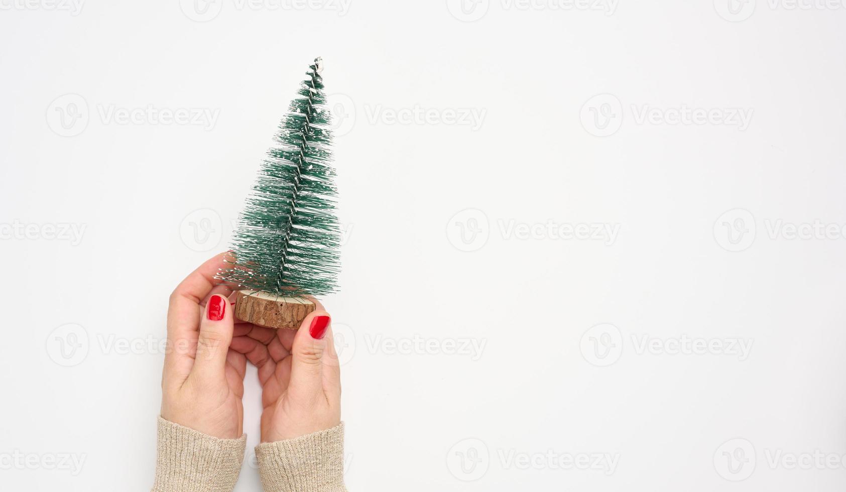 vrouw handen Holding een klein decoratief Kerstmis boom geïsoleerd Aan wit achtergrond foto