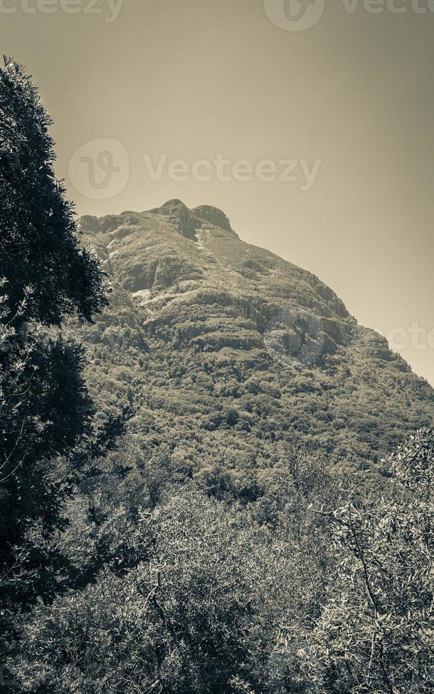 Tafelberg Nationaal Park Kaapstad, Zuid-Afrika. foto