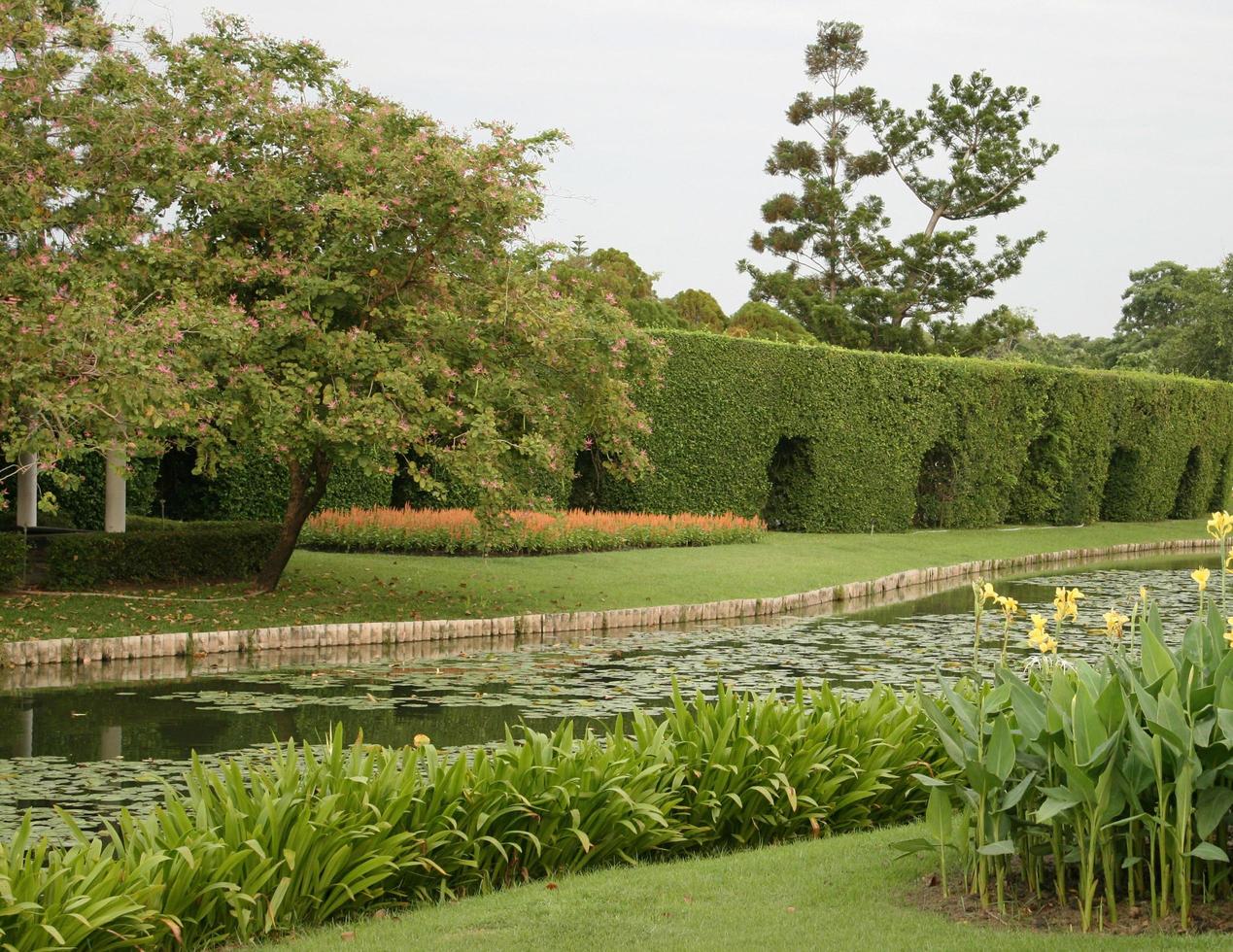 rivier in de tuin foto