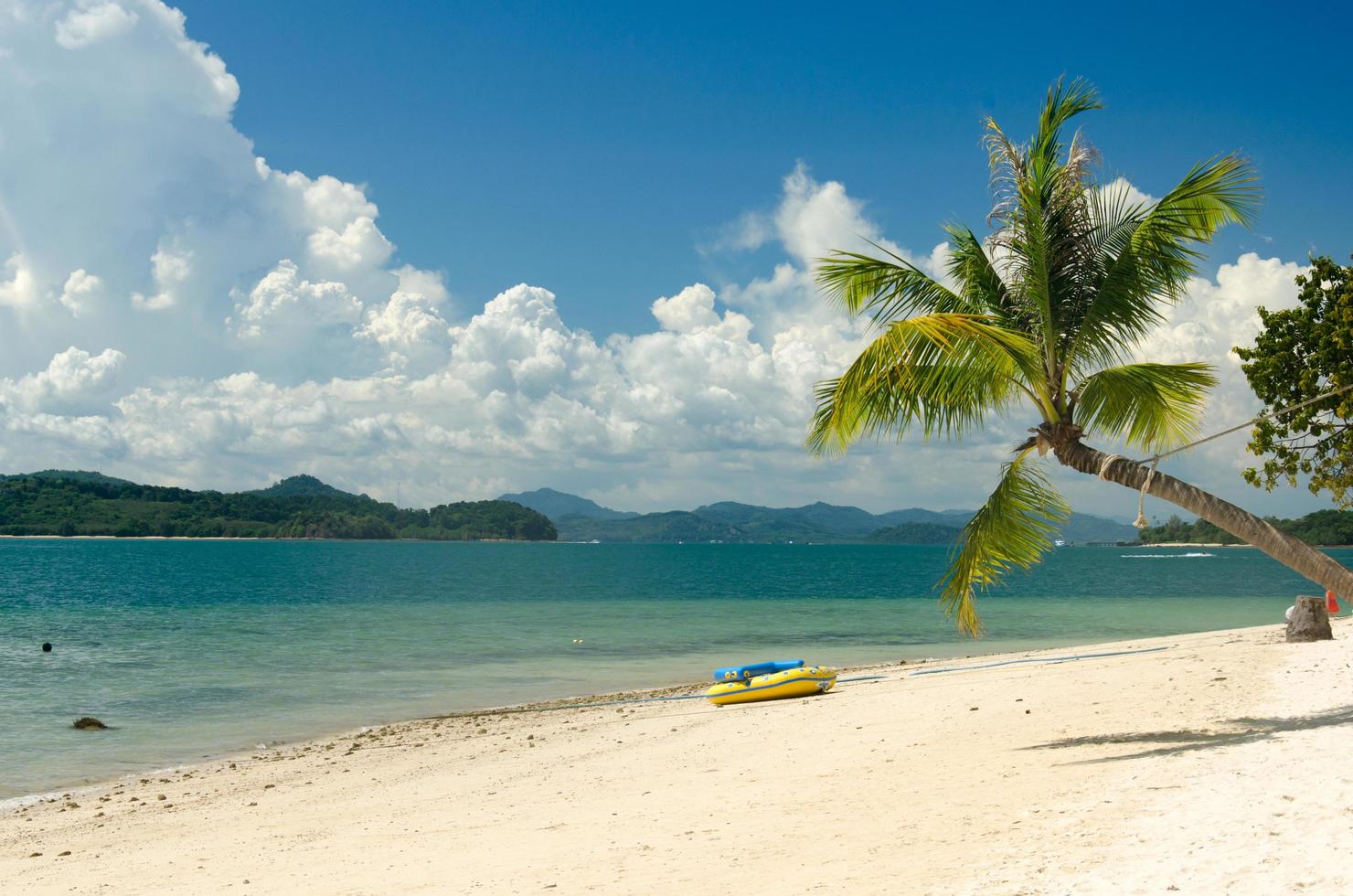 kokospalmen en strand in thailand foto