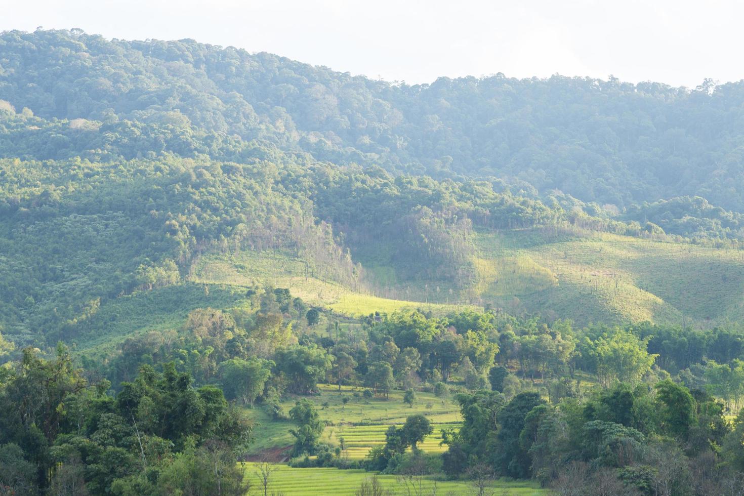 heuvels en landbouwgrond in thailand foto