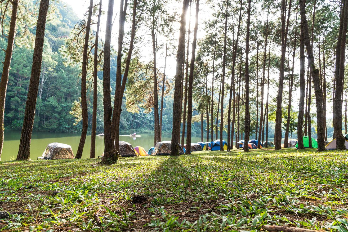 camping onder de pijnbomen in Thailand foto