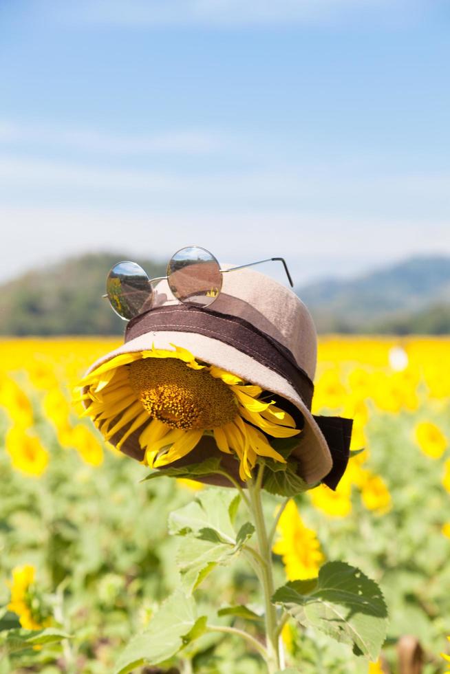 hoed en zonnebril op een zonnebloem foto