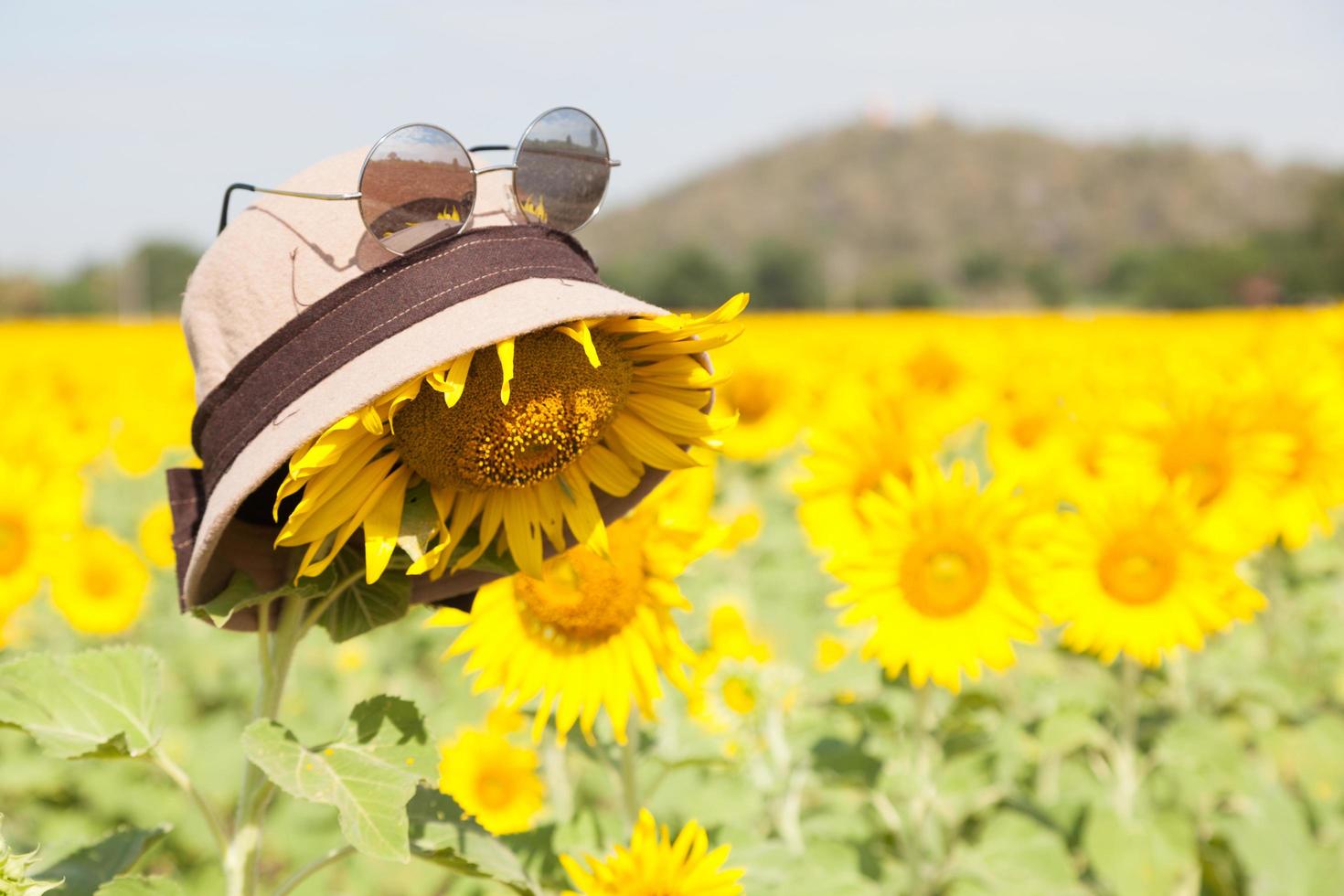 hoed en zonnebril op een zonnebloem foto