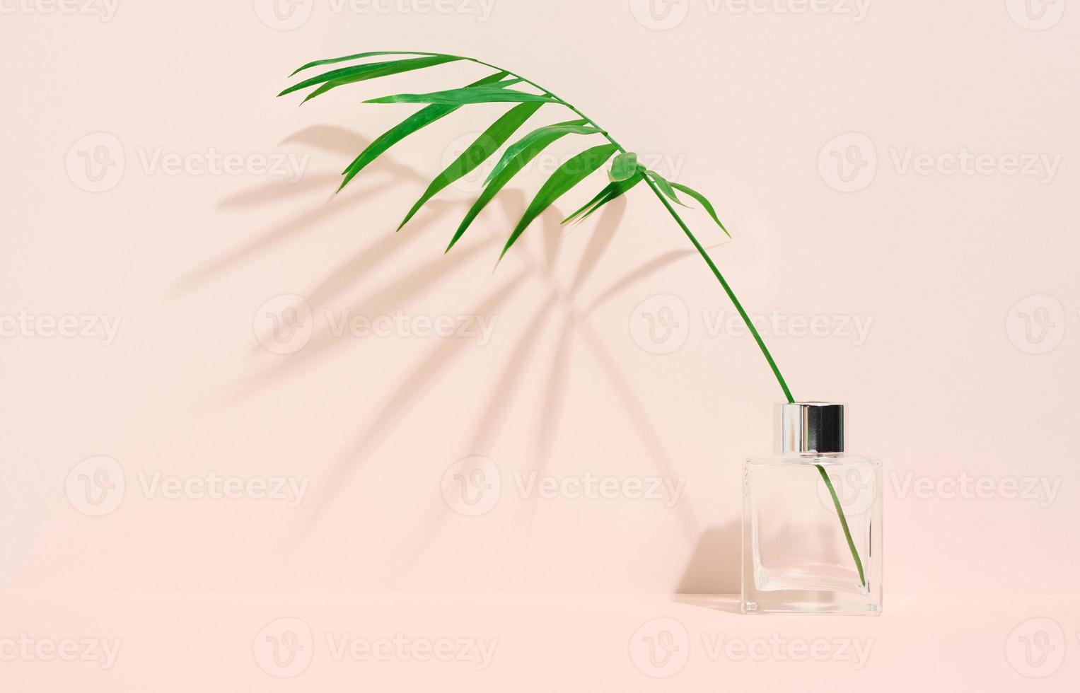 transparant glas vaas en groen palm blad Aan een beige achtergrond. foto