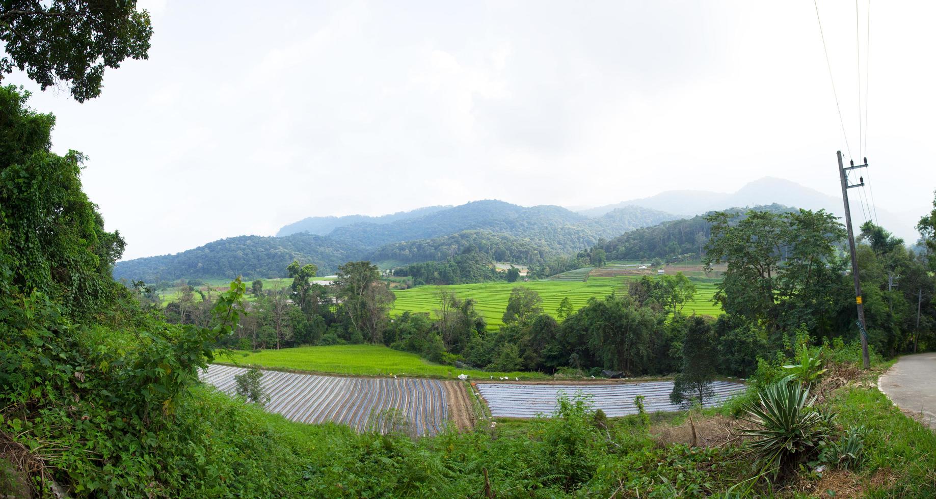 rijstvelden in de bergen in thailand foto