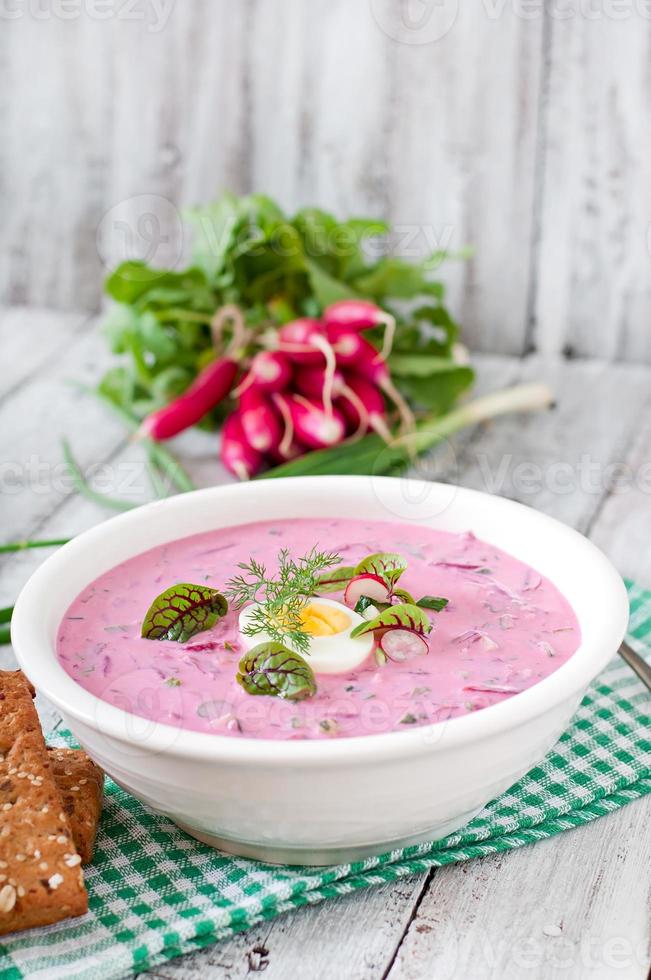 verkoudheid biet soep Aan yoghurt met ei, radijs en komkommers foto