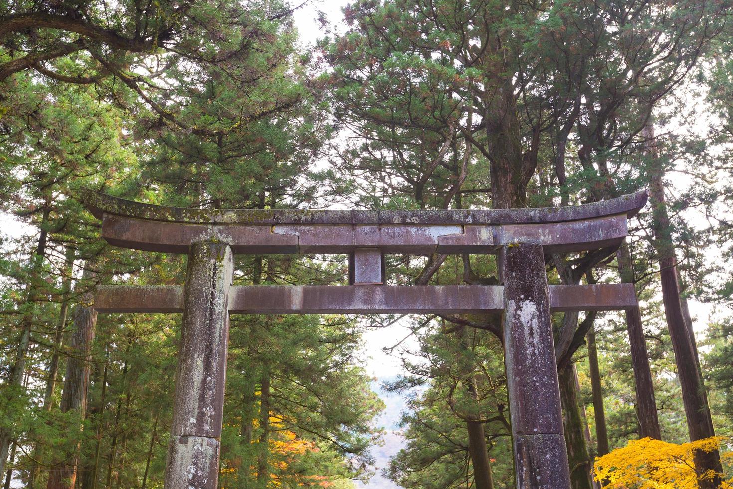 stenen poort bij het toshogu-heiligdom in japan foto
