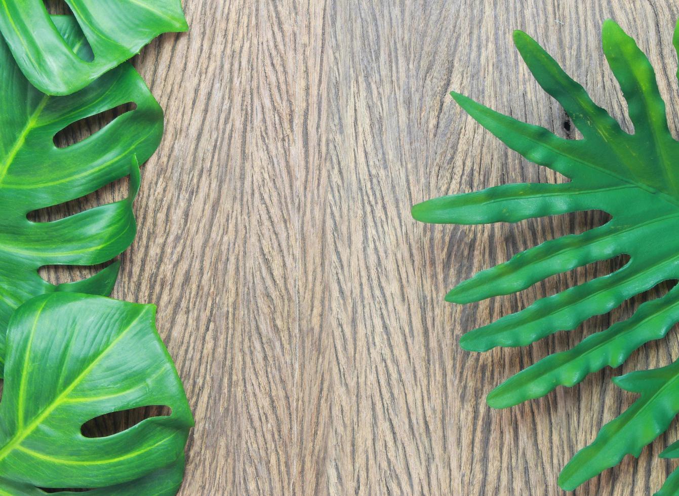 philodendron en monstera bladeren foto