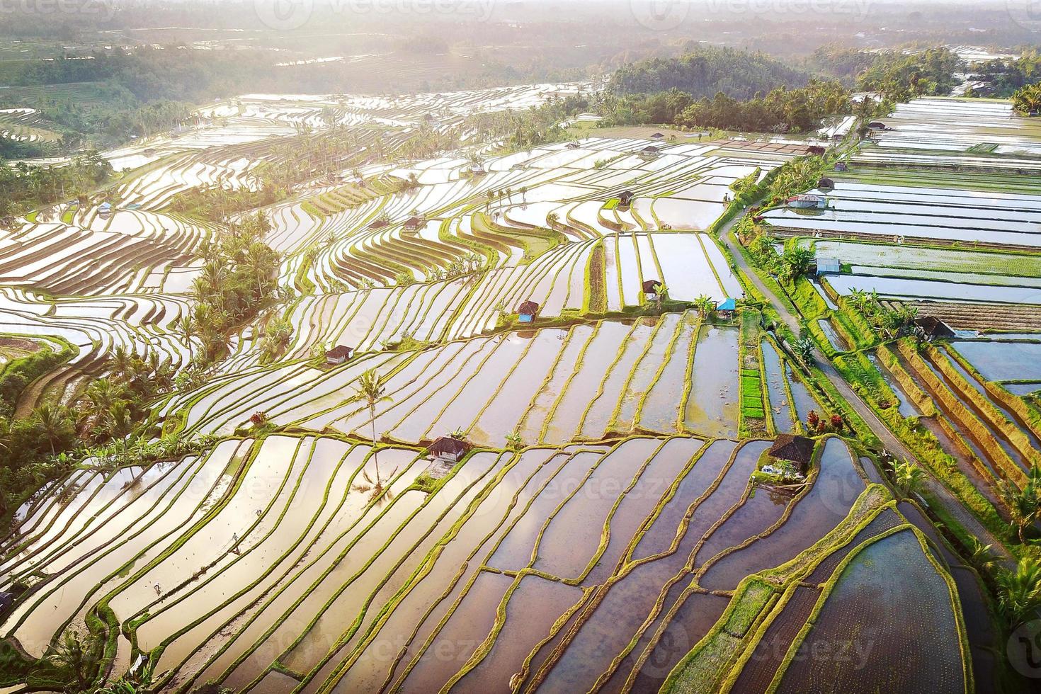 luchtfoto van Bali rijstterrassen foto