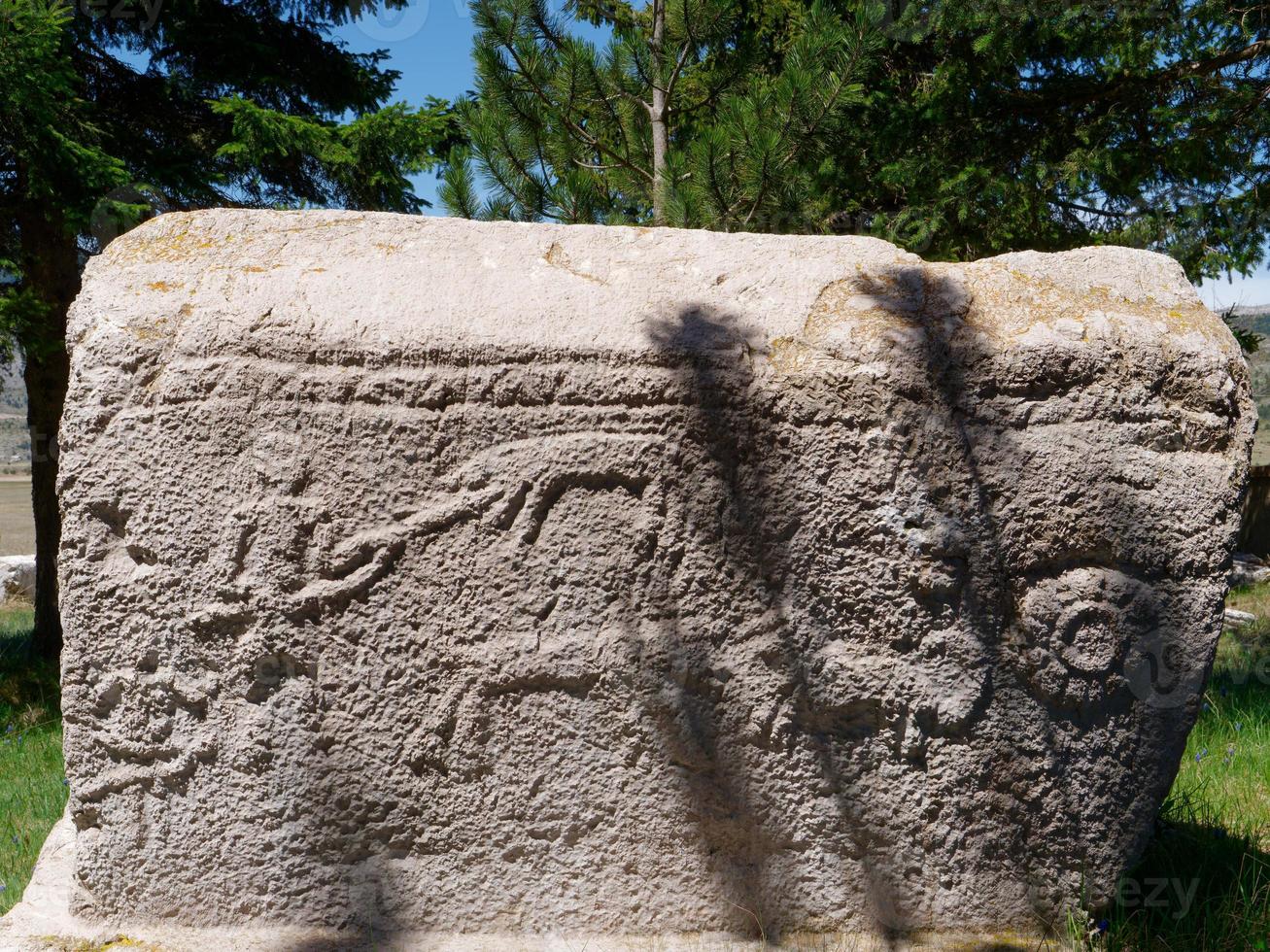 stecci middeleeuws grafstenen begraafplaatsen risovac in verblindend, bih. UNESCO plaats. historisch plaats van interesse. de grafstenen voorzien zijn van een breed reeks van decoratief motieven en inscripties. foto