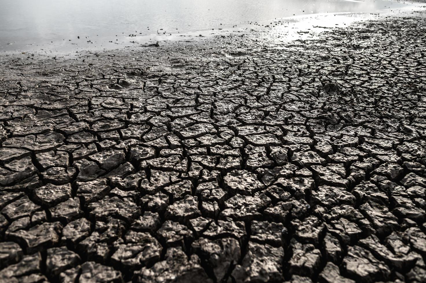 dor land met droge en gebarsten grond foto