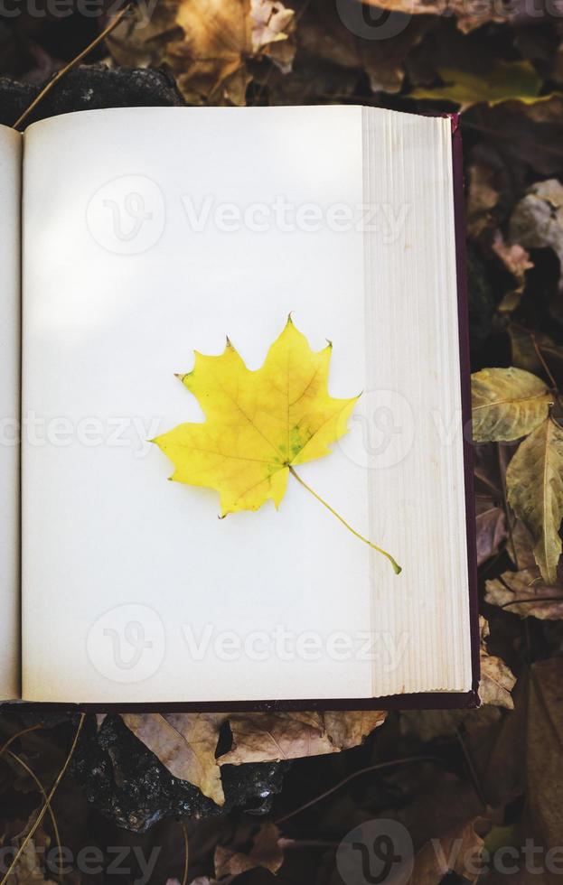 geel esdoorn- blad leugens Aan leeg wit bladzijde van boek foto