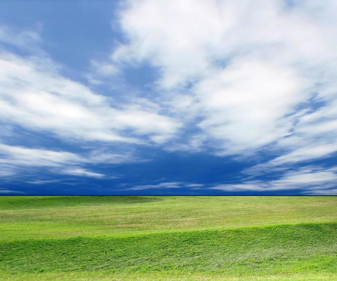 blauwe lucht en groen gras foto