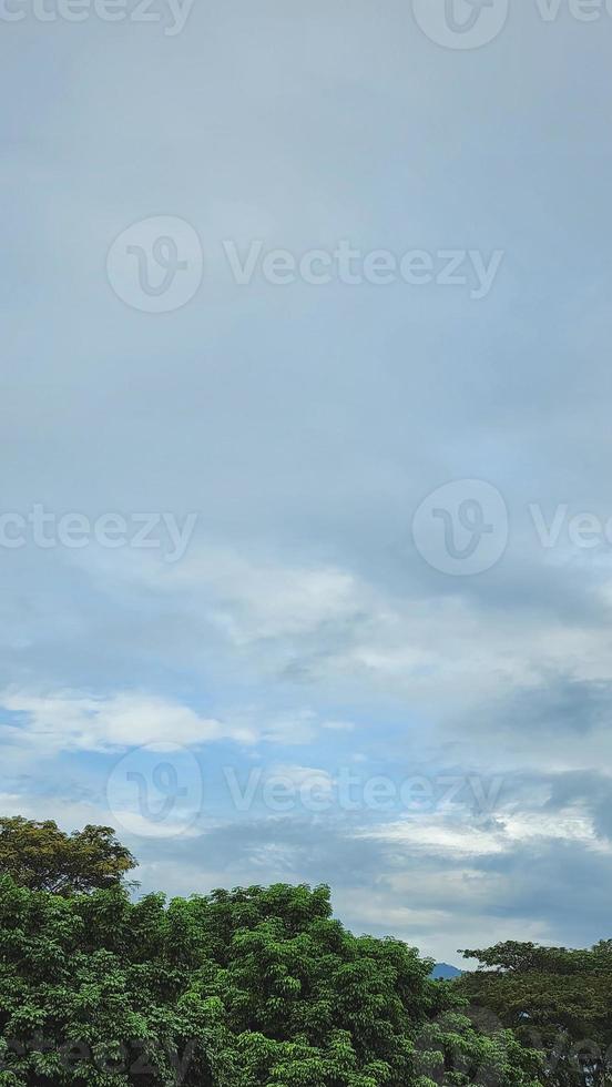 Woud heuvel bewolkt lucht met wolken natuur landschap foto