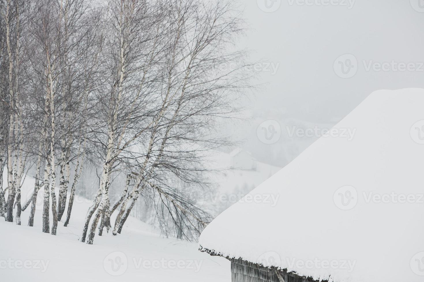 een overvloedig sneeuwval in de Roemeense Karpaten in de dorp van sirnea, brasov. echt winter met sneeuw in de land foto