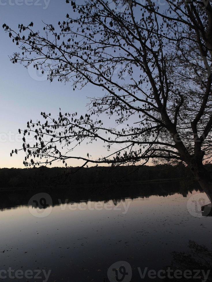 meertje in Westfalen foto