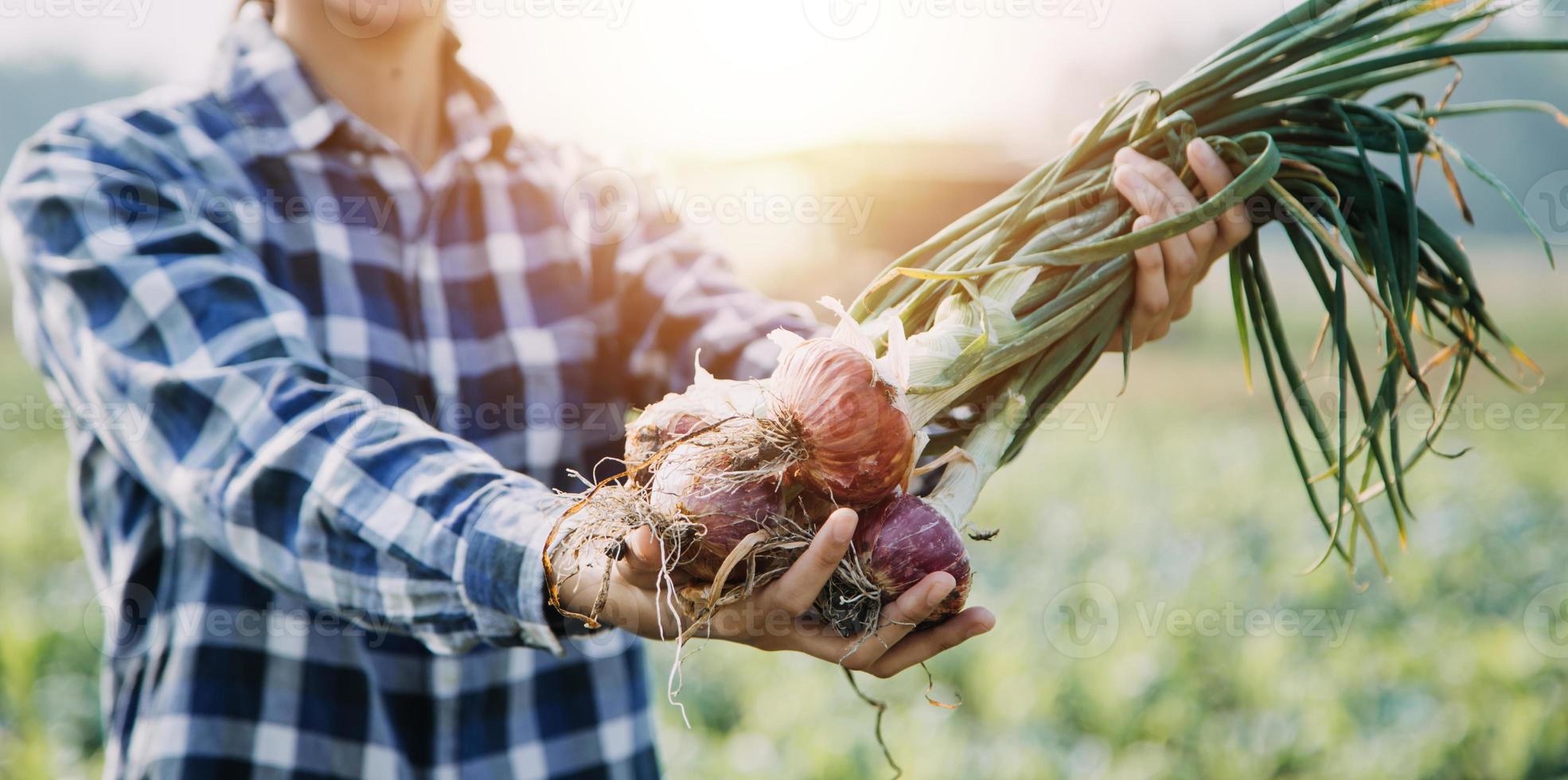 Aziatisch vrouw en Mens boer werken samen in biologisch hydrocultuur salade groente boerderij. gebruik makend van tablet inspecteren kwaliteit van sla in kas tuin. slim landbouw foto