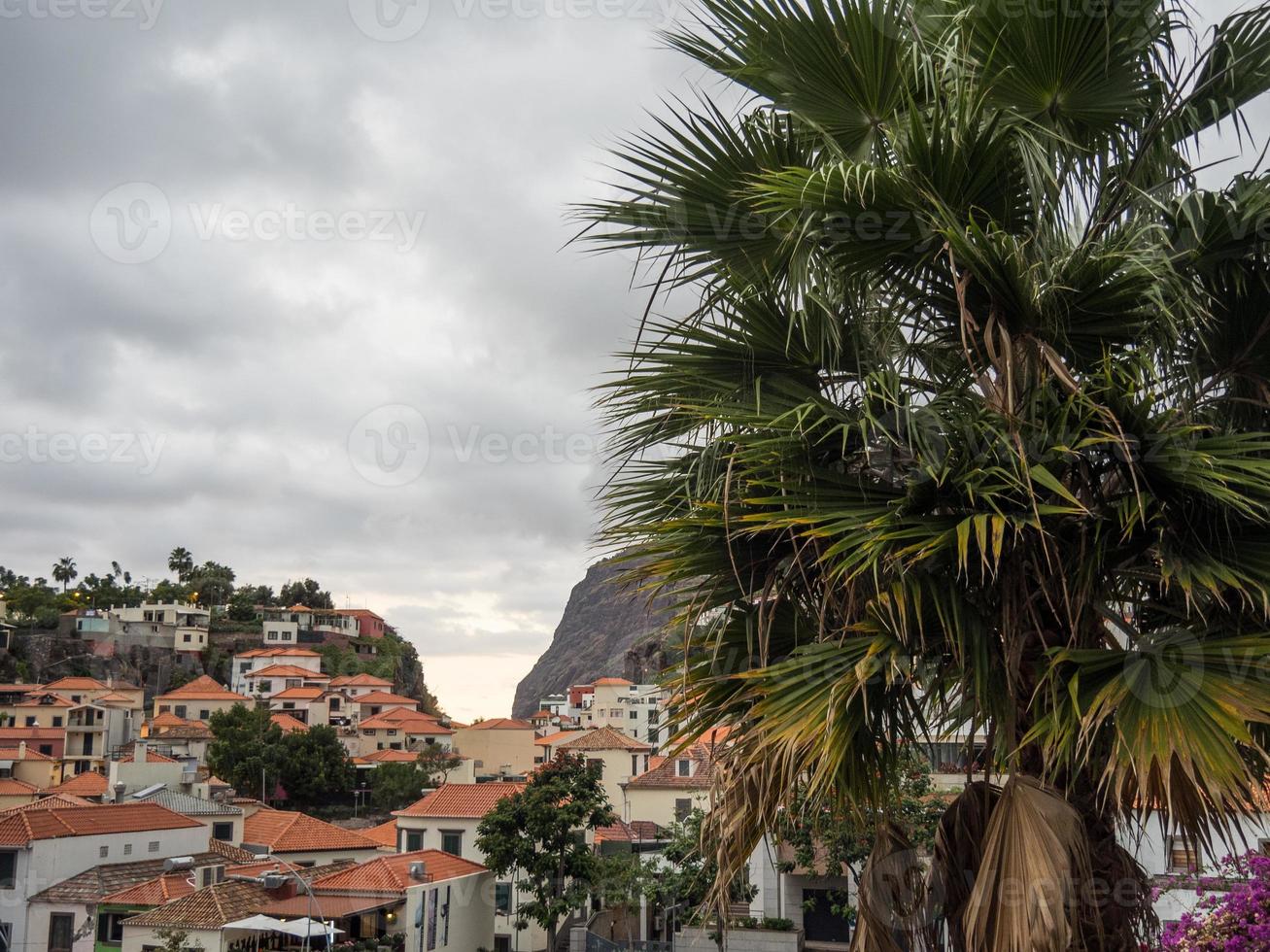 Funchal en de eiland van Madeira foto