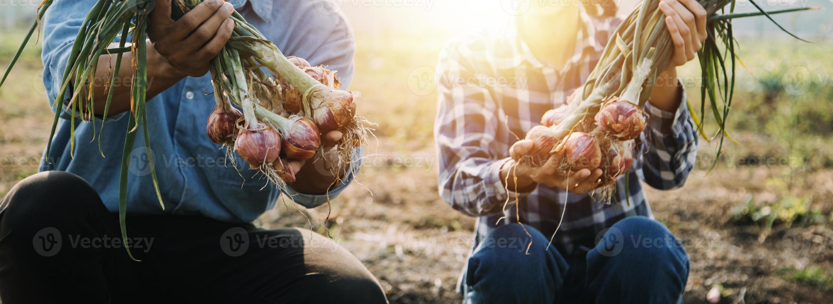 Aziatisch vrouw en Mens boer werken samen in biologisch hydrocultuur salade groente boerderij. gebruik makend van tablet inspecteren kwaliteit van sla in kas tuin. slim landbouw foto