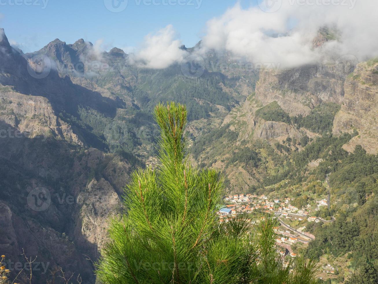 het eiland madeira foto