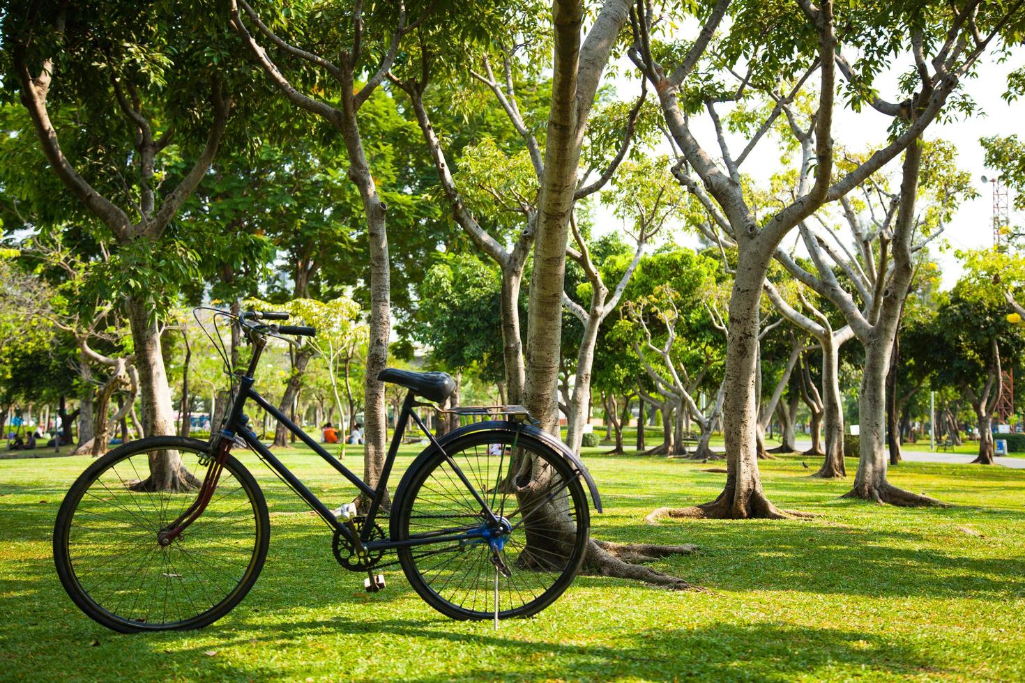 fiets in het park foto