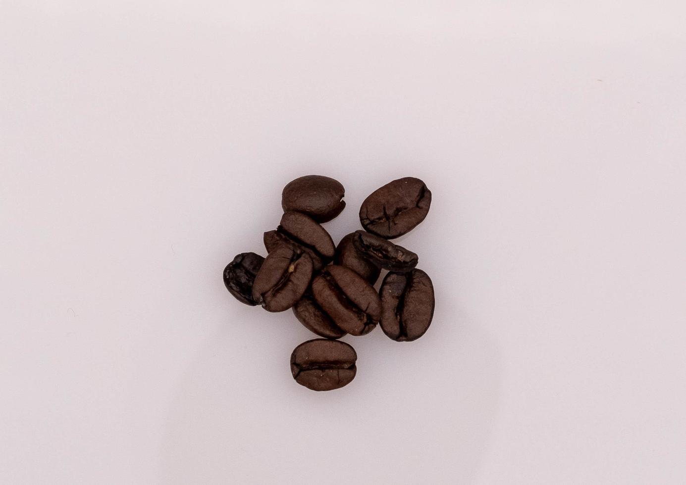 achtergronden van koffie bonen Aan een wit achtergrond, klaar naar worden grond voor de koffie machine of mokka pot foto
