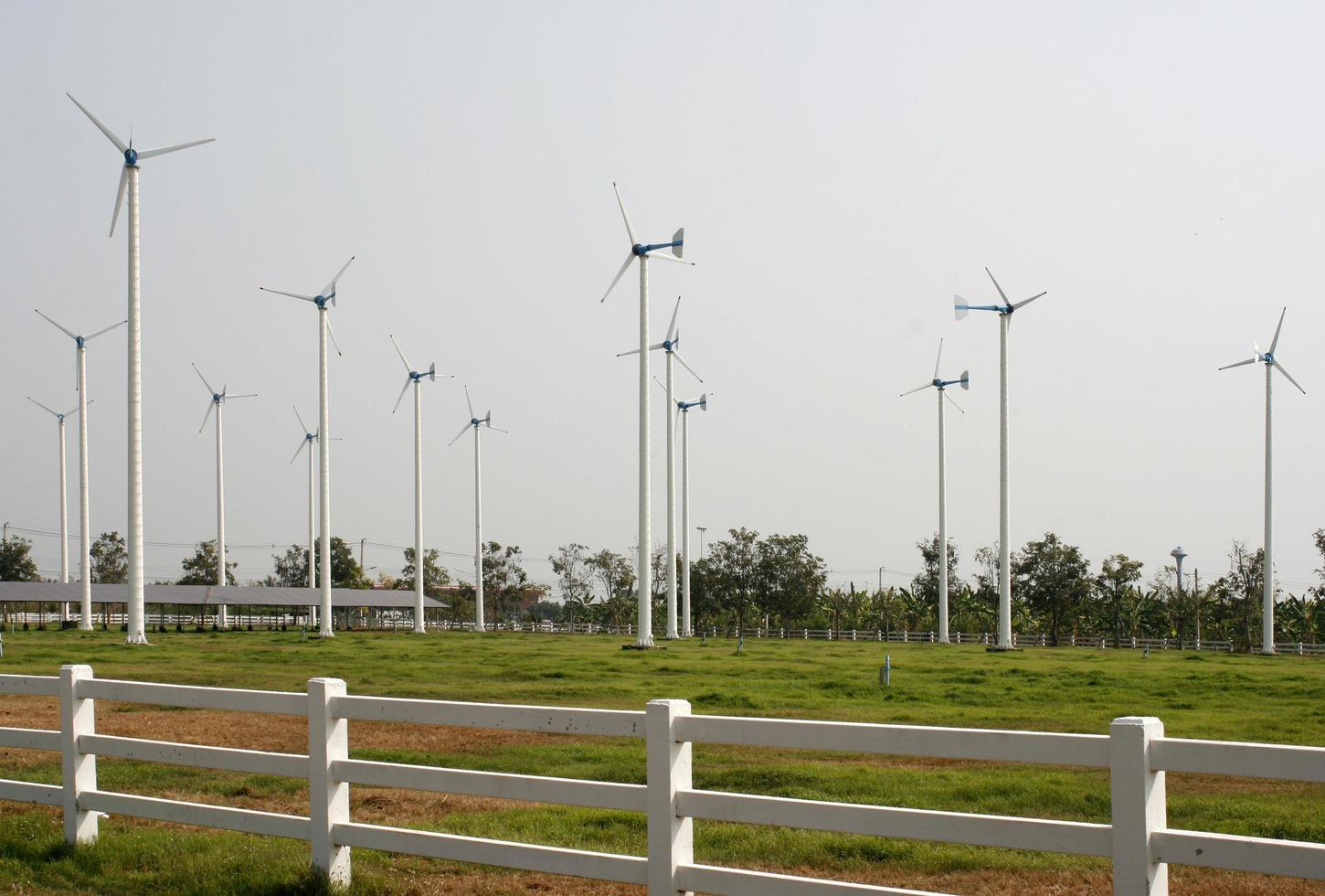 hekwerk en windturbines foto